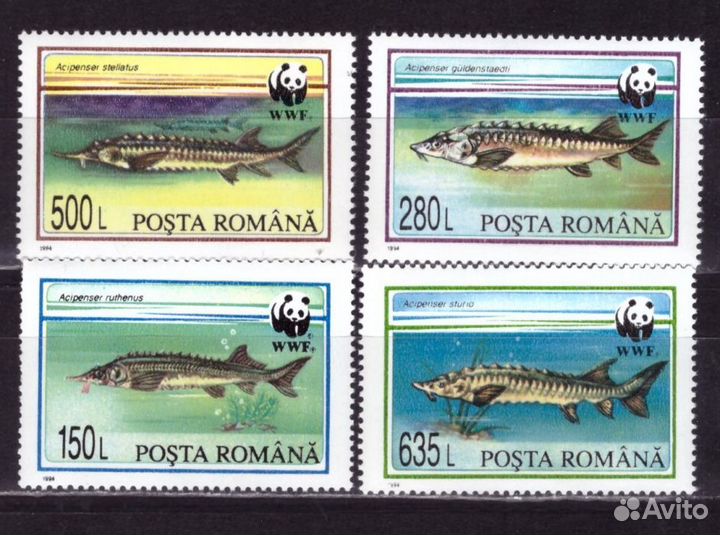 Румыния, 1994. Рыбы