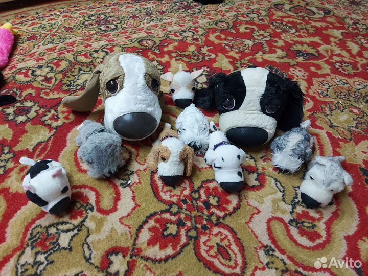 Большеголовые собачки