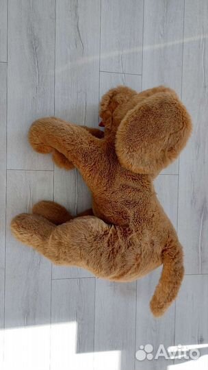 Плюшевая собака большая