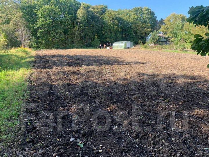 Участок 12 сот. (СНТ, ДНП)