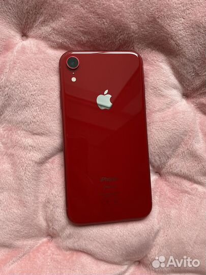iPhone XR