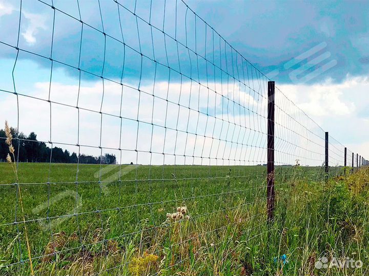 Сетка Шарнирная / Фермерская / Лесная 2,0 м