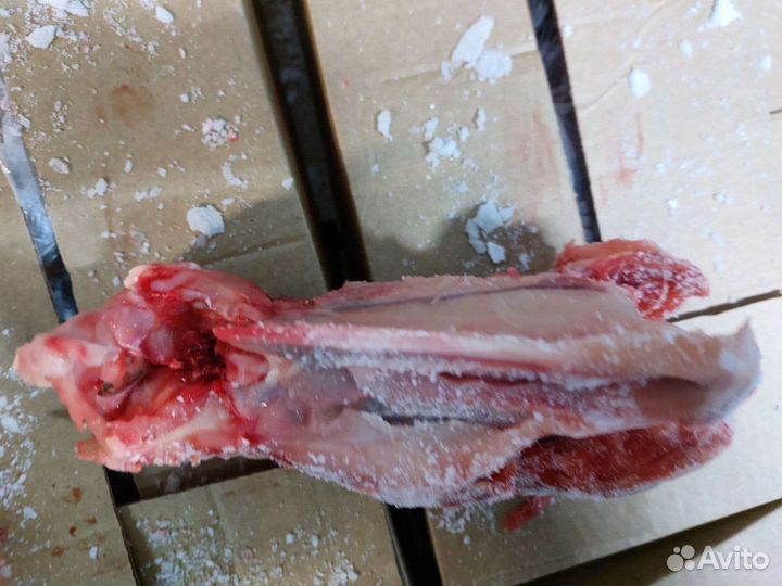 Каркас куриный