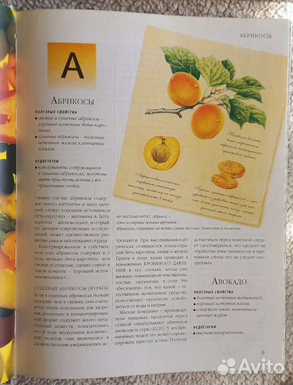 Энциклопедия Еда наш друг, еда наш враг