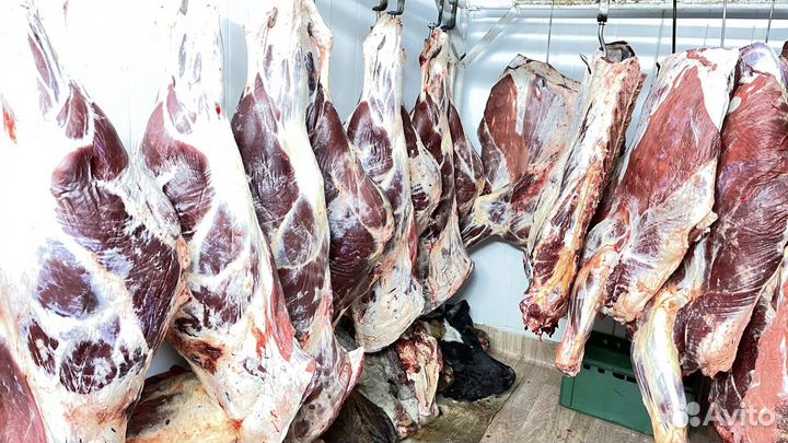 Мясо Халяль говядина,баранина