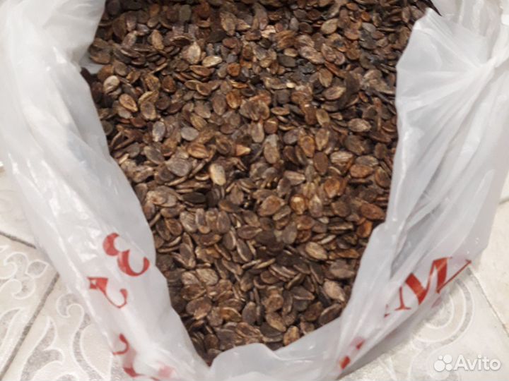 Семена арбуза сушеный холодок большой пакет