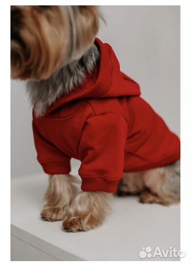 Толстовка (худи) для маленьких собак или кошек