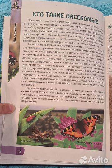 Энциклопедия Удивительный мир насекомых