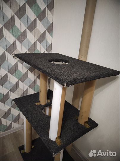 Когтеточка