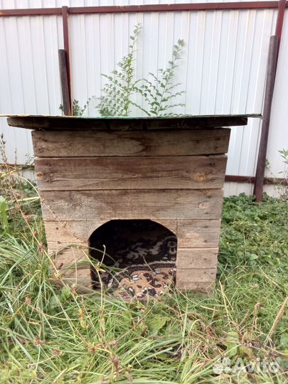 Будка для собаки