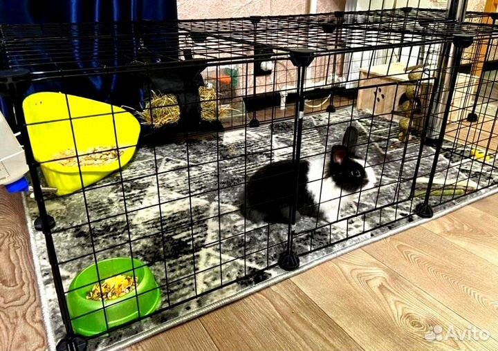 Вольер для животных