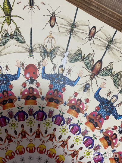 Буклеты от канадского цирка Du soleil дю солей