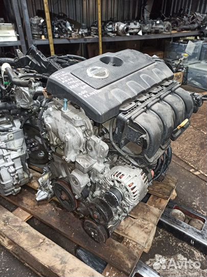 Двигатель MRA8-DE Nissan Sentra B17 / Tiida c13