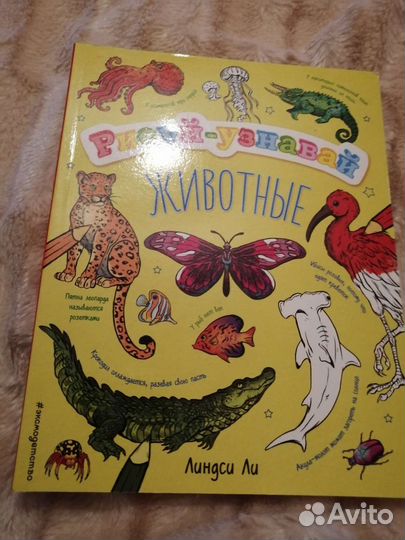 Рисуй узнавай животные