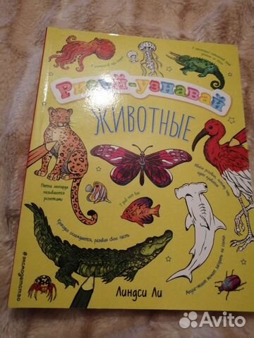 Рисуй узнавай животные