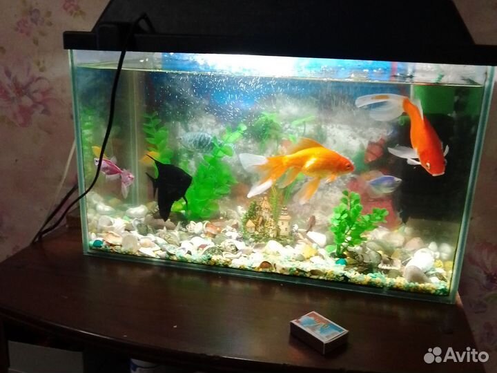 Украшение для аквариума