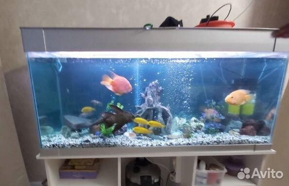 Аквариум