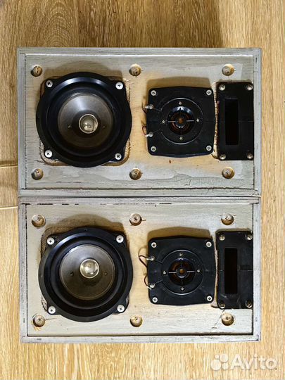 Колонки вега 25ас 101