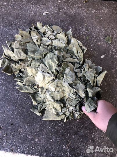 Веники для бани