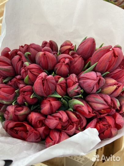 Букет тюльпанов