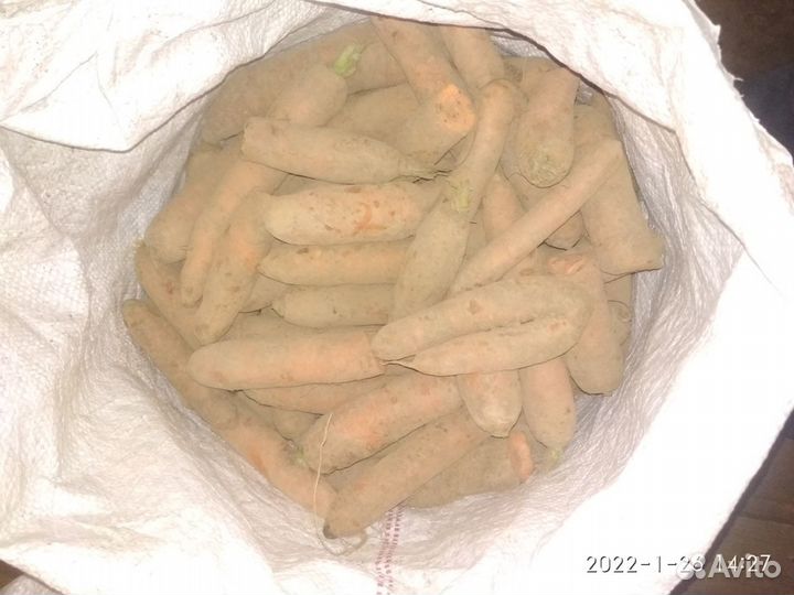 Морковь и свекла