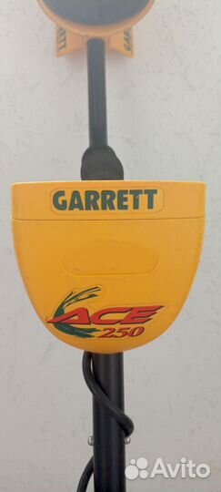 Металлоискатель Garrett ace 250 rus