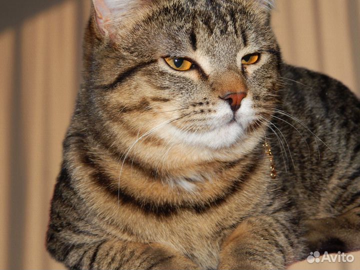 Услуги фотографа для маркетплейса