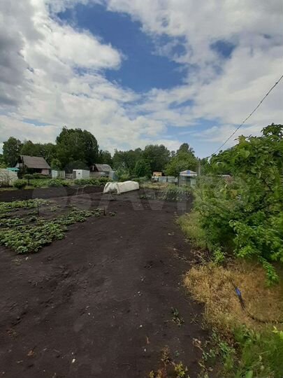 Участок 8 сот. (СНТ, ДНП)