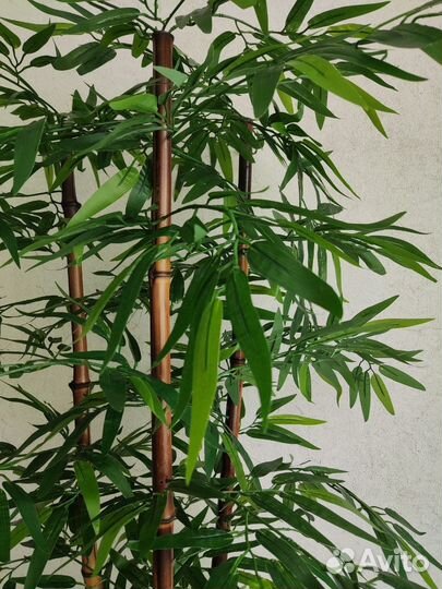 Искусственные растения деревья бамбук