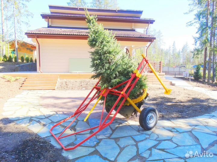 Пересадчик деревьев 