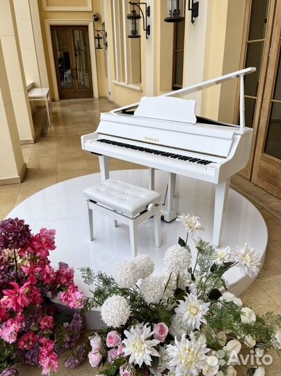 Аренда белого Рояля Yamaha