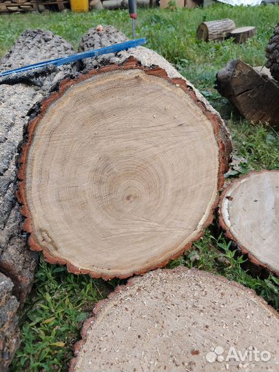 Спил дуб 30см*3-4см