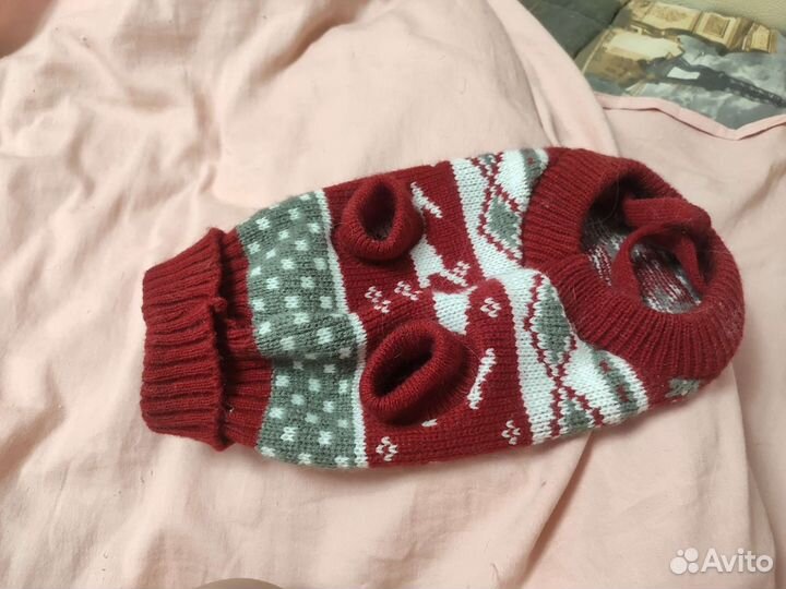 Новогодняя кофточка для кошки