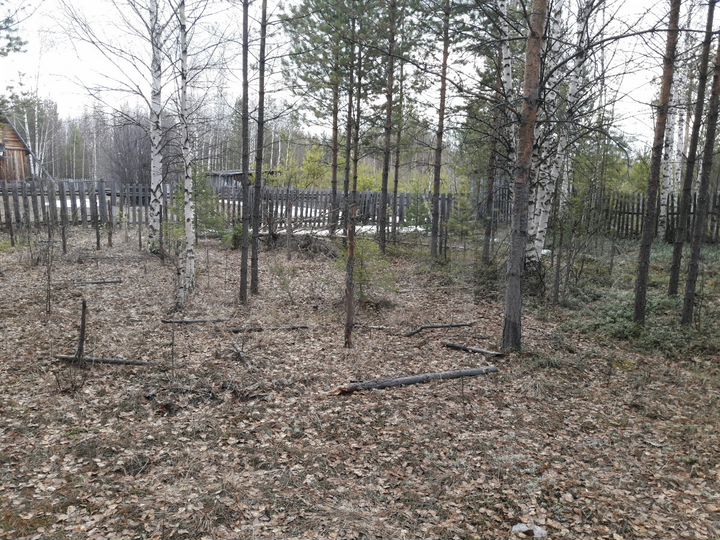 Участок 12 сот. (СНТ, ДНП)