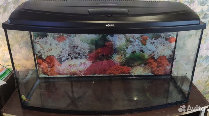 Аквариум 200 литров