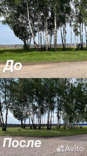 Покос, скос травы