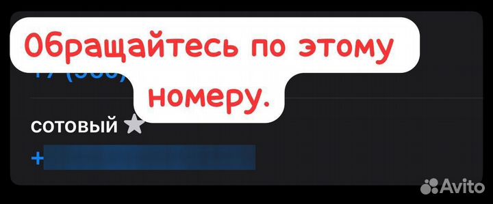 Овцы бараны ягнята