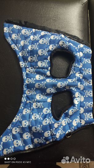 Дождевик для маленькой собаки