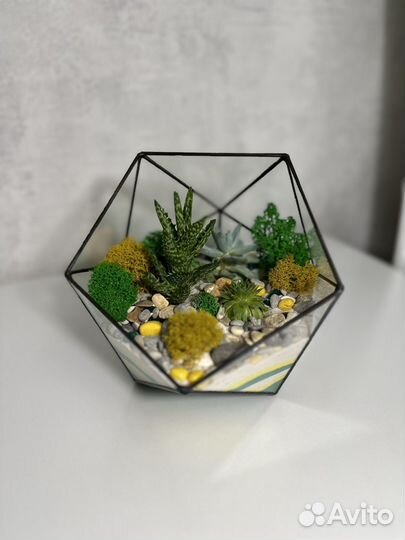 Флоррариум