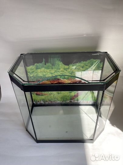 Аквариум новый