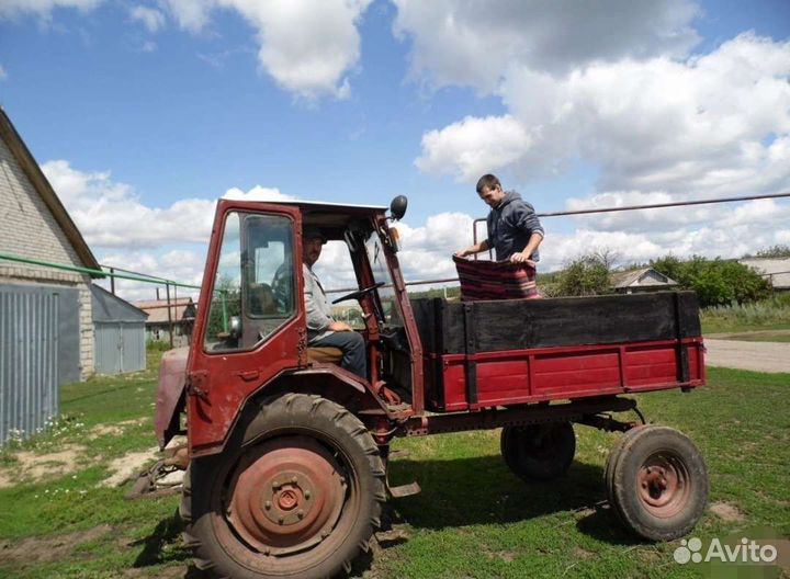 Трактор ХТЗ Т-16М, 1981