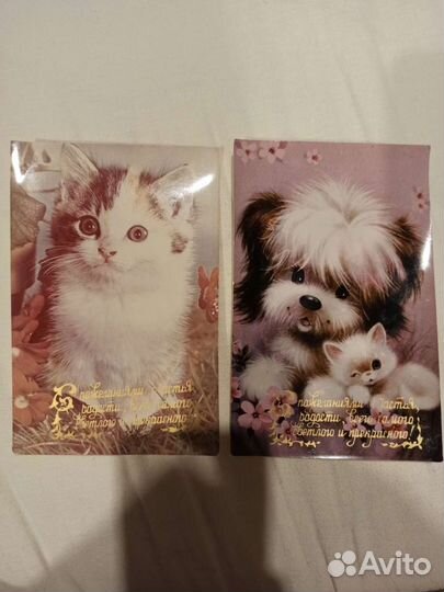 Фотооткрытки с котятами СССР