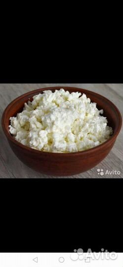 Домашняя молочка