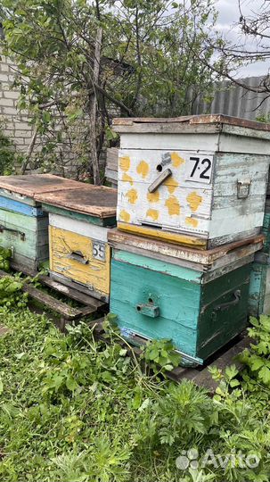 Улья для пчел