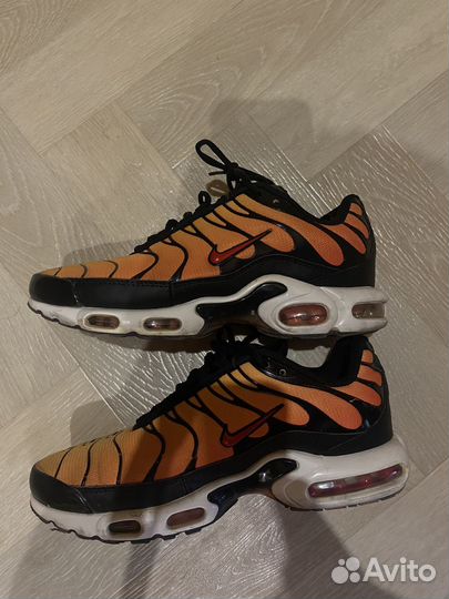 Кроссовки nike air max tn plus