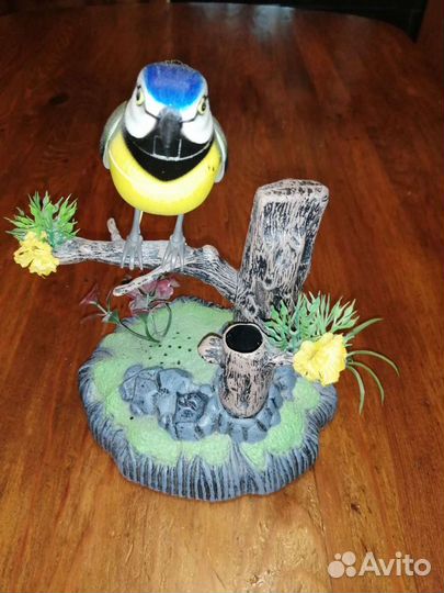 Птичка поющая