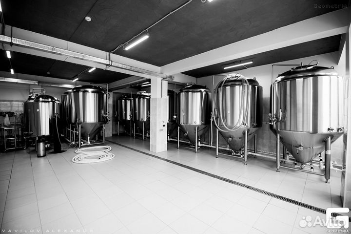 Пивоваренный бизнес