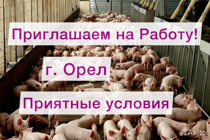 Разнорабочий на ферму в г. Орел. Вахта с питанием