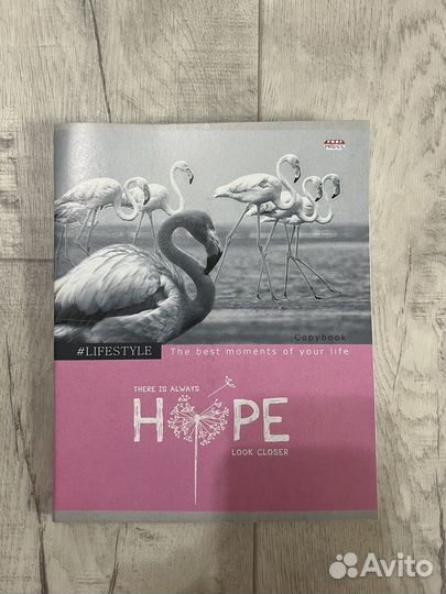 Тетрадь в клетку линейку 12 18 24 48 80 96 листов