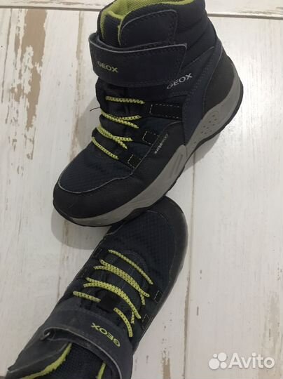 Ботинки geox